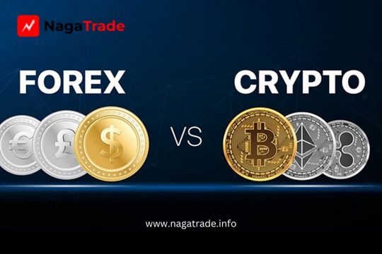 Forex Trading Or Cryptocurrency Trading